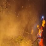 तापमान बढ़ते ही तेजी से फैल रही जंगलों की आग