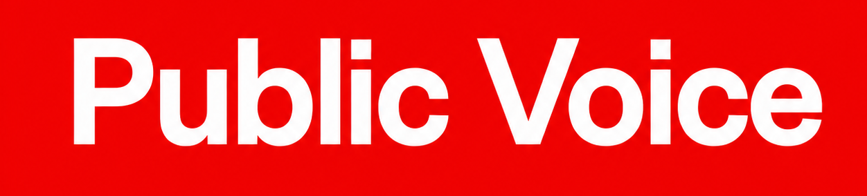 public-voice.in