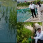 पुराने जलस्रोत को मिला नया जीवन ! मियांवाला स्थित जौहड़ की भूमि का 8.63 करोड़ की लागत से सौंदर्यीकरण…….